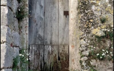 Bulletin n°48