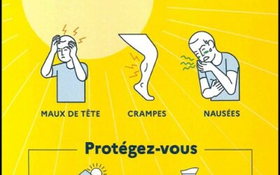 Adaptations aux chaleurs d’été