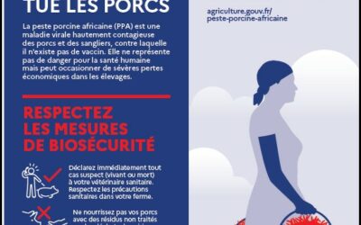 Peste Porcine Africaine