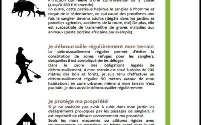 Lutte contre les nuisances causées par les sangliers