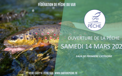 Ouverture de la pêche à la truite