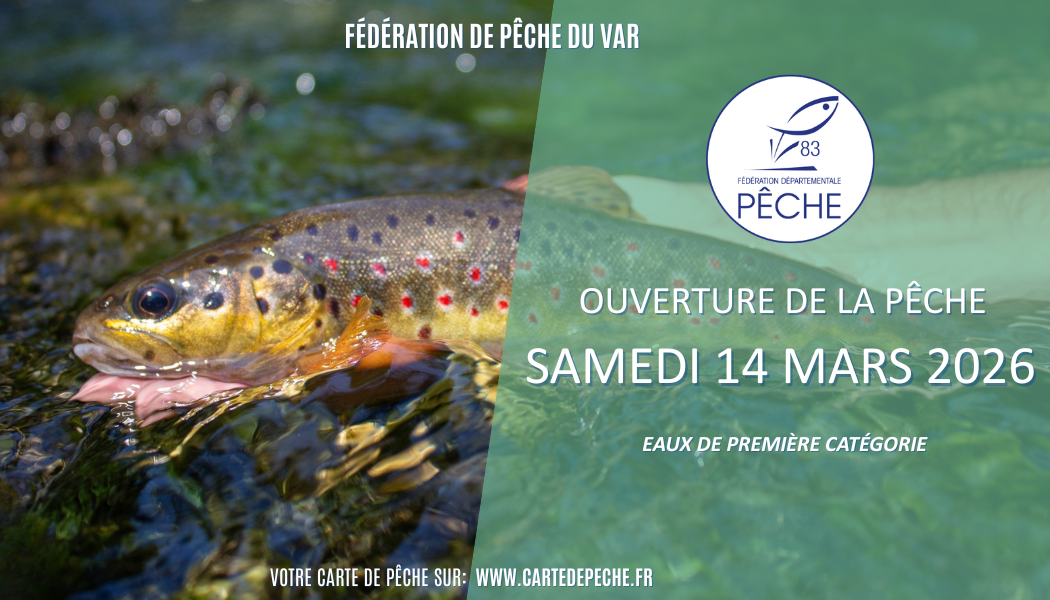 Ouverture de la pêche à la truite